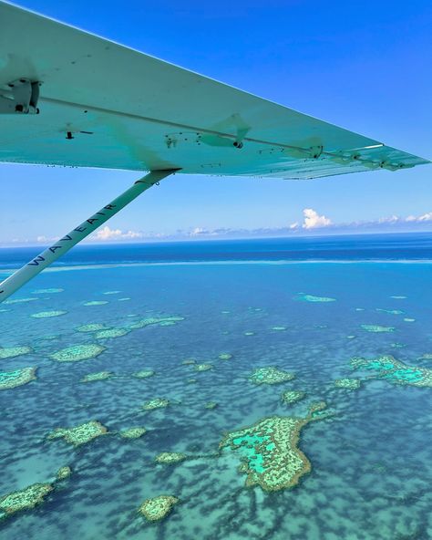 Whitsundays Dreaming 💭💙🐠🩵 Bucket list moment flying over the Great Barrier Reef 🥹✔️ Travel really never gets old 🌍 #travelgram #whitsundays #whitsundayislands #airliebeach #australia #fyp #foryou #greatbarrierreef The Great Barrier Reef Aesthetic, Great Barrier Reef Aesthetic, Reef Aesthetic, Australia Whitsundays, Whitsundays Australia, Happy Aesthetic, Catch Flights, Hamilton Island, Airlie Beach