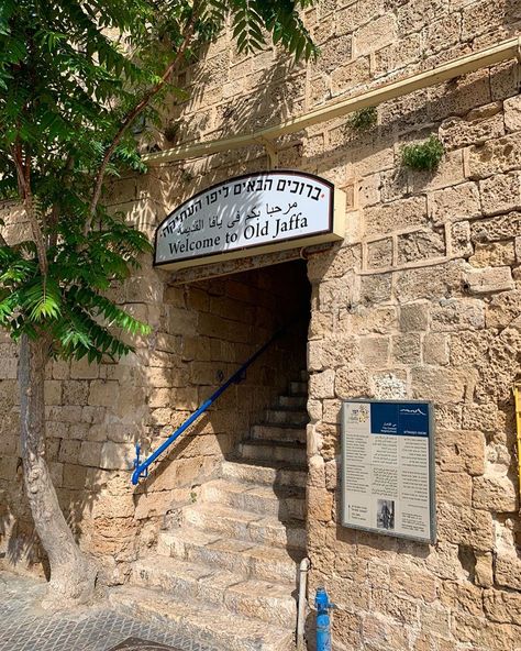 𝓦𝓪𝓷𝓭𝓮𝓻𝓵𝓾𝓼𝓽𝓮𝓻 ✈ ɢᴀʀʏ ᴍᴏʀʀɪssᴇʏ on Instagram: “Old Jaffa -  יפו העתיקה  _ Tel Aviv’s older sister and the ancient town from which it developed into the metropolis it is today.  _ Jaffa…” Jew Aesthetic, Old Jaffa, Older Sister, Arabic Books, Dream Travel Destinations, Holy Land, Art Galleries, Metropolis, Verona