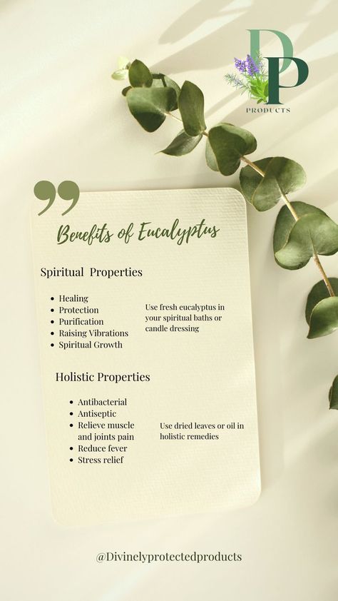 List of spiritual and holistic benefits of Eucalyptus Eucalyptus Spiritual Uses, Eucalyptus Plant Benefits, Magical Properties Of Eucalyptus, Eucalyptus Properties Magic, Eucalyptus Meaning Witchcraft, Eucalyptus Symbolism, Eucalyptus Spiritual Meaning, Eucalyptus Tea Benefits, Eucalyptus Magical Properties