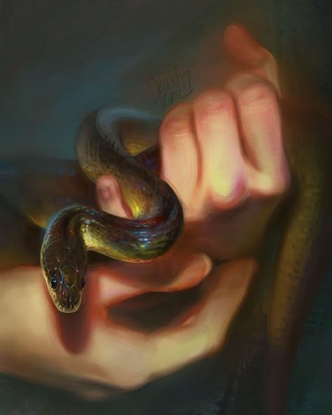 Snake Study Drawing, Tamberella Art, Snake Painting, Animal Artists, Snake Art, Animal Study, Lucid Dream, Fantasy Paintings, Minimalist Photography