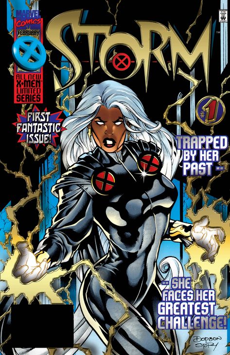 Storm Comic, Storm Xmen, Miss Hulk, Storm Marvel, Xmen Comics, Marvel Comics Covers, Mike Mignola, Black Comics, Female Superhero