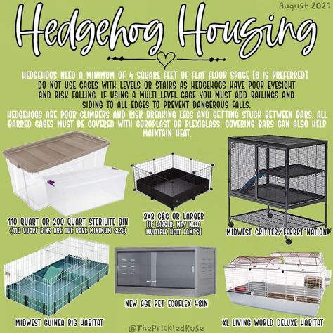 Hedgehog Care Guide, Hedgehog Habitat Ideas, Hedgehog Cage Ideas, Kibble Toppers, Hedgehog Cages, Hedgehog Pet Cage, Hedgehog Bath, Hedgehog Supplies, Hedgehog Habitat