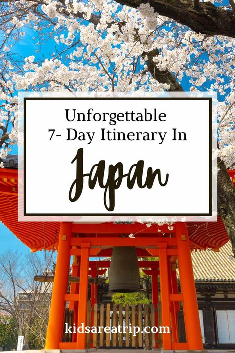 Planning a trip to Japan? Let this one week Japan itinerary help you cover the highlights! Everything you need for the perfect Japan trip. - Kids Are A Trip | Japan itinerary 1 week| one week in Japan travel| Japan with kids| what to do in Japan| things to do in Japan 2 Weeks In Japan, Japan With Kids, Things To Do In Japan, Japan Destinations, Tokyo Japan Travel, Japan Itinerary, Japan Vacation, Cities To Visit, Greece Travel Guide