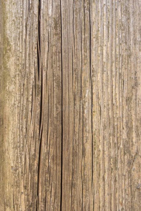 Fence from old weathered pine boards. Texture of natural aged wood. Woodworm holes, rusty nails. Creative vintage background royalty free stock images Nails Creative, Wood Plank Texture, Rusty Nails, Colorado Shirt, Old Wood Texture, Aged Wood, Pine Boards, Vintage Background, Aging Wood