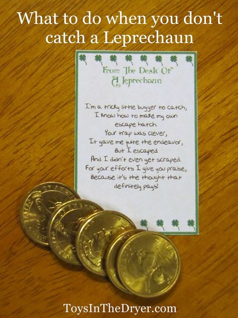 Leprechaun Tricks, Leprechaun Trap, St Patricks Day Crafts For Kids, St Patrick Day Activities, Saint Patties, St Patrick's Day Crafts, St. Patricks Day, St Paddys Day, Paddys Day