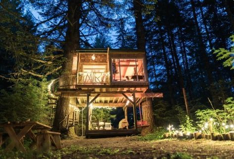 The Magical Treehouse - Cave Junction Magical Treehouse, Tree House Rentals, Tree House Hotel, Treehouse Rentals, Treehouse Airbnb, Tree House Resort, Treehouse Resort, Camping California, Oregon State Parks