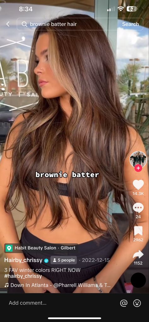 Brownie Batter Highlights, Burnette For Spring, Brown Hair For Spring, Brownie Batter Brunette Hair, Brownie Hair Color, Spring Hair Color Ideas For Brunettes, Spring Brunette Hair Color, Brownie Batter Hair, Dark Warm Brown Hair