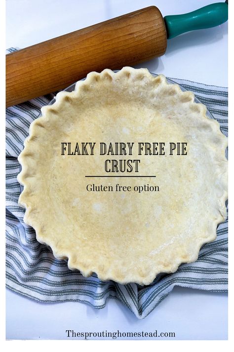 Oat Pie Crust Healthy, Gluten Dairy Free Pie Crust, Dairy Free Gluten Free Pie Crust, Gluten Free Dairy Free Pie Crust Recipe, Gluten Free Dairy Free Pie Crust, Easy Pot Pie Crust, Coconut Oil Pie Crust Recipe, Dairy Free Pie Crust Recipe, Healthy Pie Crust Recipe