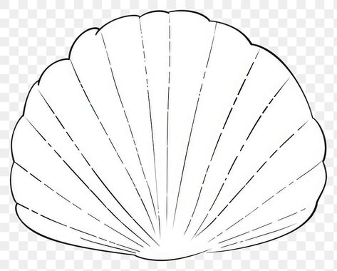 Seashell Outline, Shell Sketch, Line Drawing Abstract, Black Line, Png Transparent, Free Png, Transparent Png, Line Drawing, Sea Shells