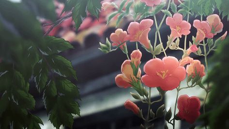 A language admirer — Flowers in korean Lo-fi Aesthetic, Gif Background, Anime Flower, Flowers Gif, Banner Gif, Anime Gifs, Spring Wallpaper, Plant Aesthetic, Aesthetic Gif