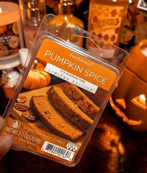 Autumn Widgets, Cute Halloween Pictures, Autumn Board, Fall Diys, Best Breakfast Sandwich, Scented Wax Cubes, Fall Mood, Pumpkin Treat, Halloween Everyday