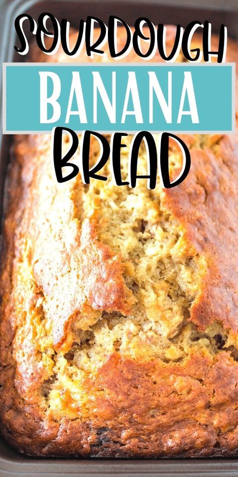 Sourdough Banana Bread Recipe, Sourdough Banana Bread, Sourdough Banana, Recipe Using Sourdough Starter, The Southern Lady Cooks, Southern Lady Cooks, Dough Starter, Sourdough Starter Discard Recipe, Easy Sourdough