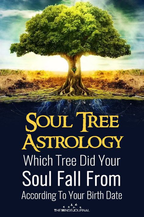 Birth Tree By Month, Zodiac Trees, Tree Of Souls, Soul Tree, Poplar Tree, The Minds Journal, Rowan Tree, Healing Spirituality, Minds Journal