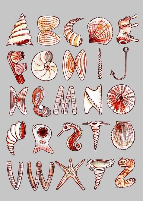 Design Museum on Twitter: "#DidYouKnow #CharlottePerriand got many of her design inspirations from the natural forms she collected on the Normandy coast, collecting anything she could find, from shells to driftwood. Tomorrow's #FontSunday from noon is dedicated to the beach. 🏖️ #PerriandLiving… https://t.co/ZRG6suOnJ4" Ocean Fonts Alphabet, Letters As Objects, Ocean Letters, Ocean Typography, Type Hierarchy, Ocean Font, Ocean Alphabet, Fonts Dafont, Abc Font