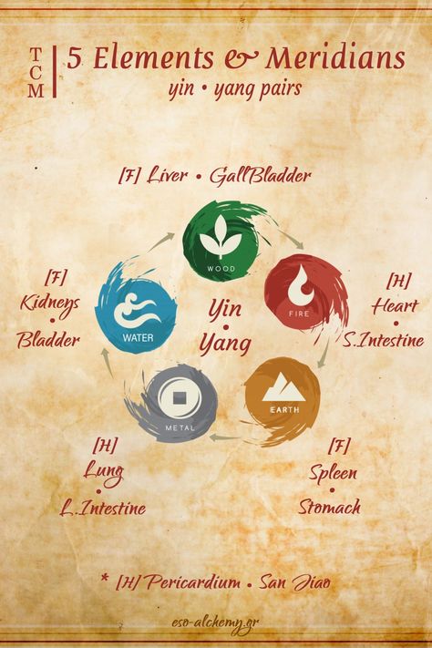 eso-alchemy.gr • Infographics • Correspondences of the 5 elements of Nature and the Yin-Yang pairs of the 12 principal meridians. | Visit the link for Information about the 12 meridians. [focus on routes & flows] . 12 Meridians, Esoteric Alchemy, Five Elements Of Nature, 5 Elements Of Nature, The 5 Elements, Five Elements, 5 Elements, Fifth Element, Elements Of Nature