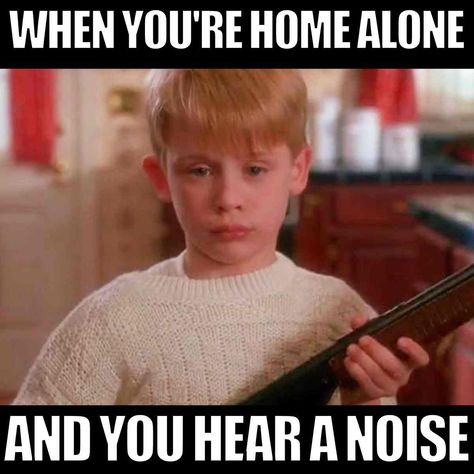 when you're home alone and you hear a noise Classic Holiday Movies, Home Alone Movie, Alone At Home, Meme Show, Christmas Memes, You Are Home, Christmas Photoshoot, Science Fiction Tv, Holiday Movie