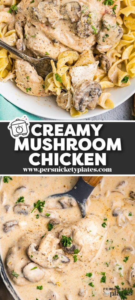 Slow Cooker Mushroom Chicken has chicken in a creamy mushroom gravy cooked in the crockpot and ready to serve over rice, noodles or potatoes. Crock Pot Chicken With Cream Of Mushroom, Slow Cooker Chicken With Gravy, Slow Cooker Chicken Low Carb, Crock Pot Chicken Mushroom, Chicken And Mushroom Crockpot Recipes, Crockpot Cream Of Chicken Recipes, Cream Of Mushroom Chicken Crockpot, Chicken Mushroom Crockpot, Crockpot Mushroom Chicken