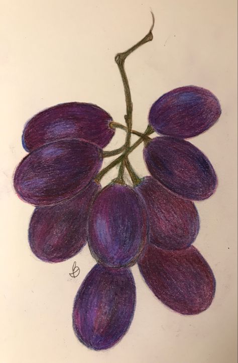 Drawing Ideas Colorful Pencil, Easy Drawings Color, How To Draw Grapes, Easy Drawings Colored Pencils, Fruit Drawing Simple, Easy Colored Pencil Drawing Simple, Easy Color Pencil Drawing, Fruit Sketch, Fruit Drawing