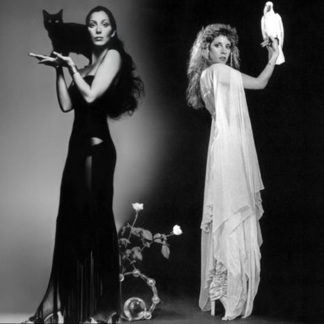 Cher and Stevie Nicks 🔮🪄🧹 Season Of The Witch, Witchy Woman, Stevie Nicks, Divine Feminine, Girly Things, Pretty People, Beautiful People, See More, Mood Board