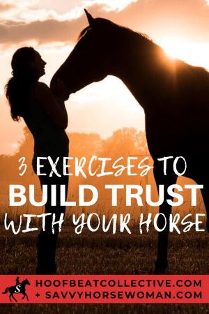 Bonding Exercises With Your Horse, Horse Bonding Exercises, Horse Groundwork Exercises, Groundwork Exercises For Horses, Horse Bonding, Horse Training Ground Work, Horse Lifestyle, Horse Training Exercises, Horse Behavior