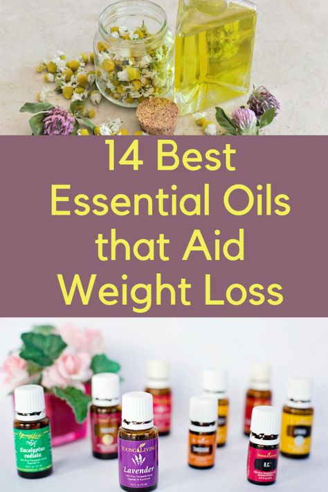 Lost 50 Pounds, Essential Oils For Pain, Young Living Essential Oils Recipes, Essential Oil Carrier Oils, Essential Oils Guide, Essential Oils Herbs, Essential Oils Health, Cinnamon Essential Oil, Oil Diffuser Recipes