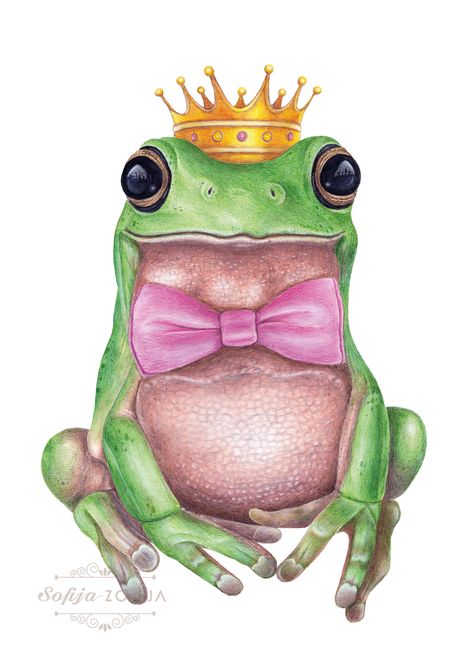 This illustration is an INSTANT DOWNLOAD in many different sizes. ♡ A detailed illustration of a frog is handmade with colored pencils and watercolors illustrated by the SofijaZofija.
#frog #frogking #frogart #frogillustration #froglover #king #prince #greenfrog #crown Sketch Frog, King Sketch, Prince Drawing, Frog Sketch, Crown Illustration, Crown Drawing, Frog Wallpaper, Frog Illustration, Fairytale Nursery