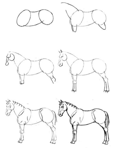 Horse Drawing Tutorial, Horse Art Drawing, Concept Art Tutorial, Canvas Art Projects, Cool Pencil Drawings, Portraiture Drawing, Horse Drawing, Horse Drawings, Easy Drawings Sketches