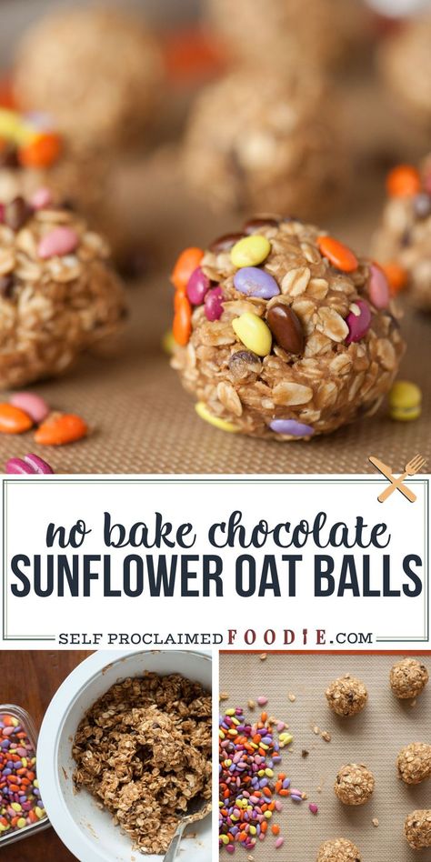 Nut Free Kids Snacks, Protein Snacks For Kids, Chocolate Sunflower, Oat Balls, Nut Free Snacks, High Fiber Snacks, Fiber Snacks, Healthy Nuts, No Bake Snacks