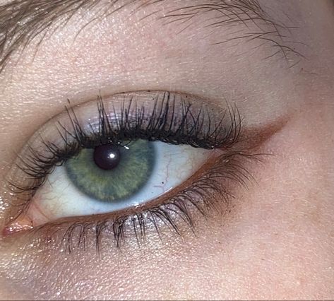 Cute Brown Eyeliner Looks, Brown Puppy Dog Eyeliner, Natural Makeup Brown Eyeliner, Faded Eyeliner Look, Brown Eyeshadow Under Eye, Small Brown Winged Eyeliner, Lower Lashline Eyeliner, Brown Water Line Makeup, Brown Mascara And Eyeliner Look