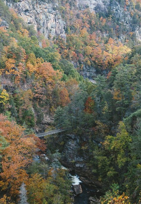 Tallulah Gorge State Park: One of the Great North Georgia Wonders Tallulah Gorge, Georgia State Parks, Gorges State Park, Whitewater Kayaking, Whitewater Rafting, Georgia State, North Georgia, Tourist Destinations, Scenic Views