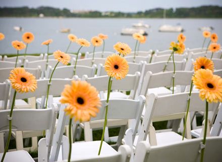 Chair Accessory! Gerbera Daisy Centerpiece, Ceremony Chairs, Ceremony Seating, Folding Chairs, Gerbera Daisy, Orange Wedding, Ceremony Flowers, Deco Floral, Chair Decorations