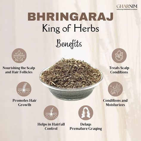 Bhringraj (Eclipta alba), often referred to as the "King of Herbs" for hair care, is highly valued in Ayurveda for its numerous benefits for hair health. ✨️ Benefits of Bhringraj for Hair ✨️ 🌿 Promotes Hair Growth: Bhringraj is renowned for its ability to stimulate hair growth. It increases blood circulation to the scalp, which helps in nourishing the hair follicles and promoting new hair growth. 🌿 Prevents Hair Loss: Regular use of Bhringraj can help reduce hair fall. Its nourishing pro... Bhringraj Benefits, Herbs Magic, Ayurveda Hair Care, Herbs For Hair, Prevent Hair Fall, Herb Containers, Hair Care Recipes, Plant Medicine, Diy Aromatherapy