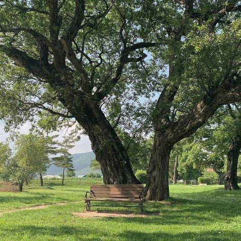 Taman Vintage, Green Scenery, Grass Field, Cottagecore Aesthetic, Green Garden, Alam Yang Indah, Nature Aesthetic, Green Grass, Pretty Places