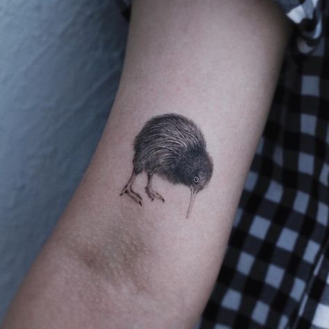 Kiwi Bird Tattoo, Image Kiwi, Kiwi Tattoo, Vogel Tattoo, Tattoo Pictures, Kiwi Bird, About Tattoo, Bird Tattoo, Birds Tattoo