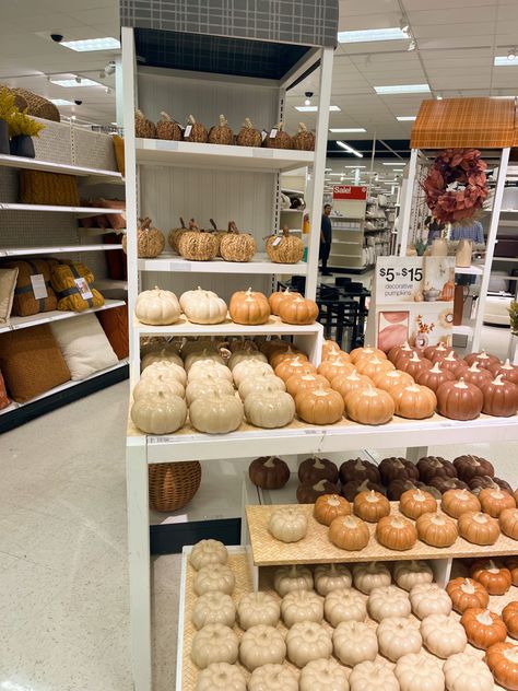 Fall Decor Shopping, Fall Target Finds, Autumn Shopping Aesthetic, Fall Target, Target Fall Decor 2023, Autumn Shopping, Target Fall Decor, Target Aesthetic Photos, Target Halloween Decor