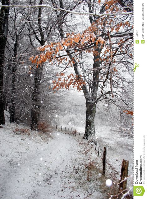 Photo about Winter in the countryside in denmark. Image of snowing, tree, white - 1108307 Nordic Folklore, Winter Landscape Photography, Christmas Traditional, Snow Images, Winter Landscape Painting, Painting Snow, Winter Painting, 수채화 그림, Watercolor Landscape Paintings