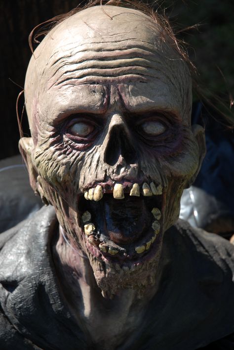 Don't miss a dentist appointment Zombie Sculpture, Zombie Inspiration, Zombie Face, Masque Halloween, Creepy Photos, Dentist Appointment, Background Hd Wallpaper, Horror Tattoo, Grey Tattoo