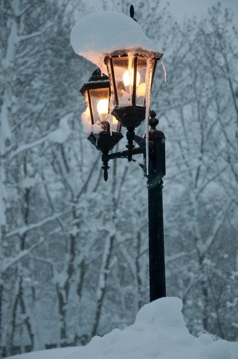 Street Lamp Post, Lantern Painting, Bedroom Wall Collage, Candles Photography, Bright Copper, Copper Kettle, Shine Your Light, Winter Light, Dark Blue Background