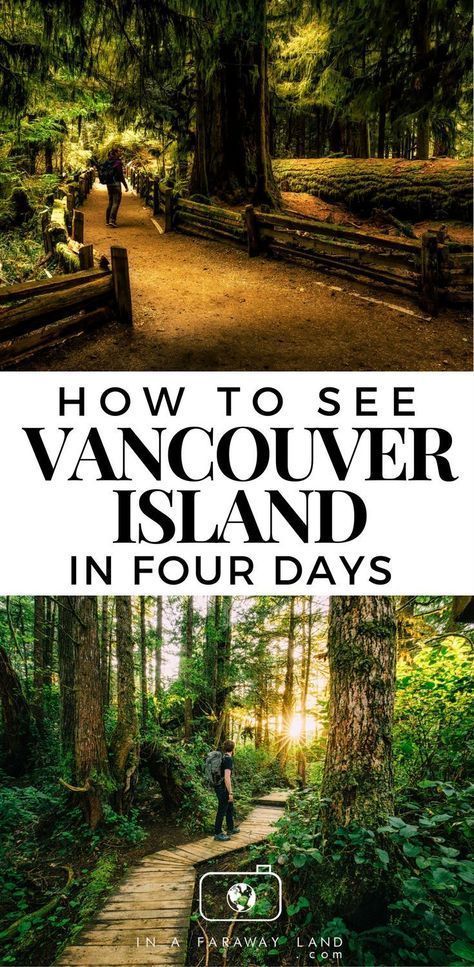 This mini Road Trip guide to Vancouver Island will take you through some of the best spots on the islands including Tofino, Cedar Tree Forest Walk and Pacific Rim National Park Reserve. #Vancouver #Island #Canada #Roadtrip Travel Vancouver Island, Camping Quebec, Pacific Rim National Park, Canadian Road Trip, Vancouver Travel, West Coast Road Trip, Canadian Travel, Canada Road Trip, Pacific Coast Highway