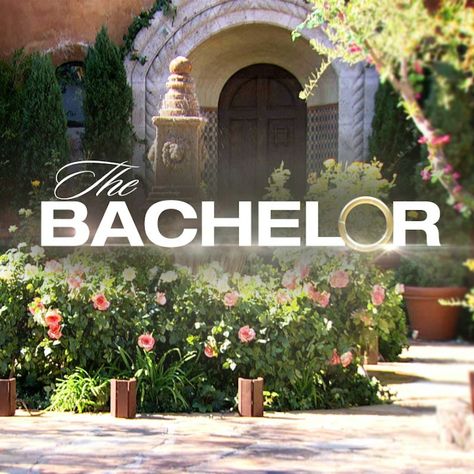 Your Ultimate 'The Bachelor' Dictionary, Because This Show Has Its Own Amazing Language The Bachelor Tv Show, Top Tv Shows, Fantasy League, Bachelor Nation, Top Tv, The Bachelor, Tv Entertainment, Contemporary Romances, Best Tv Shows