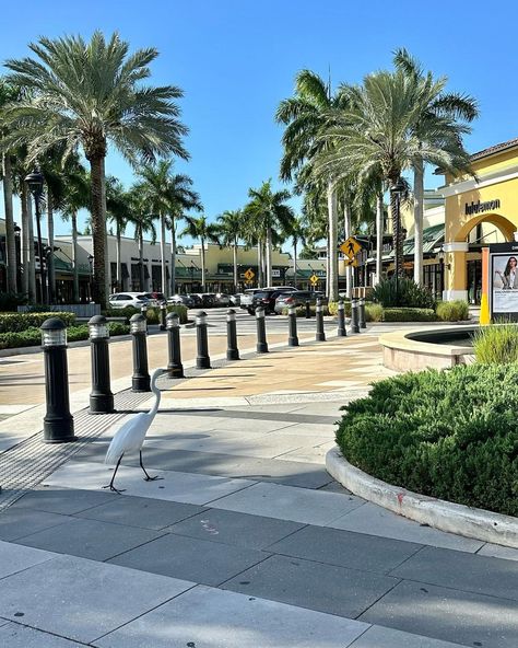 Did you know that Sawgrass Mills is: - the 11th largest mall in the United States - the largest single-story outlet mall in the U.S. - the largest shopping mall in Broward County (in Florida) - the second largest mall in Florida and the Miami metropolitan area after the Aventura Mall, and - the third largest shopping mall in the southeastern United States. Located in the city of Sunrise, this shopping mall is 2,370,610 square feet and has over 21 million annual visitors, making it one of the ... Sawgrass Mills Mall, Aventura Mall, Fake Photos, Outlet Mall, Family Friendly Resorts, Florida Resorts, Kid Friendly Activities, Vacation Tops, Broward County