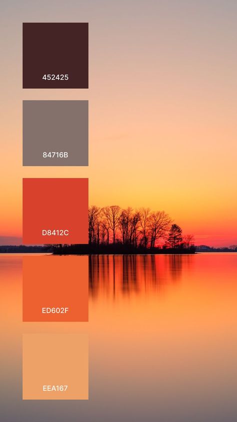 A good colors that work together in a color palette:
1. 452425
2. 84716B
3. D8412C
4. ED602F
5. EEA167 Orange Pallet Color, Sunset Pantone, Paint Sample Cards, Sunset Theme, Pantone Colours, Photo Of Nature, Sunrise Colors, Website Color Palette, Pantone Colour Palettes