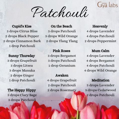 patchouli diffuser blends Essential Oil Perfume Blends, Essential Oil Perfumes Recipes, Essential Oil Combinations, Doterra Essential Oils Recipes, Essential Oil Diffuser Blends Recipes, Young Living Essential Oils Recipes, Essential Oils Guide, Diffuser Oil, Essential Oils Herbs