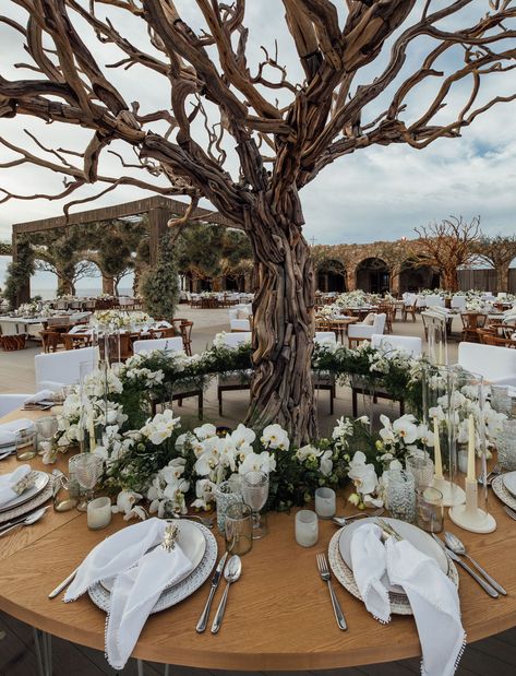 Casamento Glam México Romantic Mexico Wedding, Mexican Glam Wedding, Mexico Garden Wedding, Wedding Green Decor, Luxury Mexican Wedding, Mexico Wedding Inspiration, Mexican Church Wedding, Punta Mita Wedding, Mexican Villa Wedding