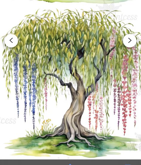 Weeping Willow Tree Of Life Tattoo, Weeping Willow Tree Tattoo, Weeping Willow Tattoo, Willow Tattoo, Willow Tree Tattoo, Willow Tree Tattoos, Weeping Willow Tree, Tree Of Life Tattoo, Weeping Willow