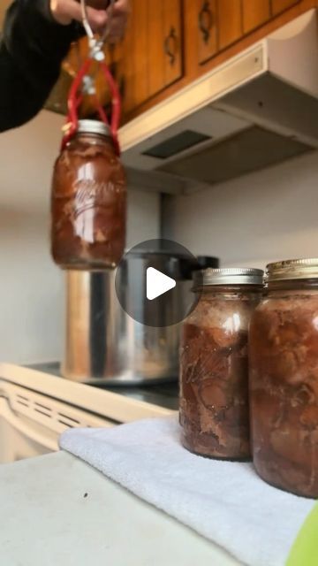 Lauren Ketterman on Instagram: "Canning venison! One of my most favorite things to eat canned! #homestead #urbanhomestead #selfsufficiency #canningandpreserving #selfsufficient #foodstorage #canningseason #venisonrecipes" Canning Venison Recipes, Canned Venison Recipes, Canning Venison, Canned Venison, Winter Coming, Deer Meat, Pressure Canner, Venison Recipes, Things To Eat