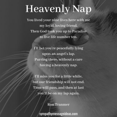 all The things you won’t be needing; But I will miss you little friend, For I could never measure Pet Quotes Cat, Losing A Pet Quotes, Pet Poems, Cat Poems, Cat Sympathy, Sympathy Card Messages, Sympathy Quotes, Cat Loss, Card Messages