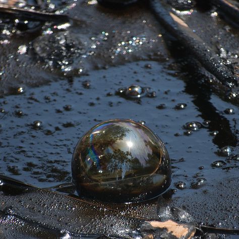 Tar Pit Bubble by nickburlett, via Flickr  This picture is perfect for an article on spiritual tar pits! Tar Pit, La Brea Tar Pits, Star Wars Fanfiction, Rigor Mortis, Marine Pollution, Oil Spill, Best Mysteries, Water Bubbles, Recycled Projects