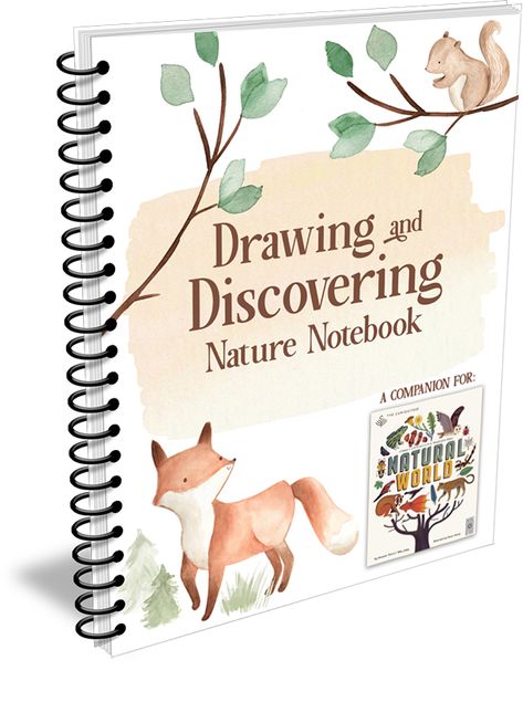 Nature Anatomy, Layers Of The Ocean, Nature Notebook, Julia Rothman, Drawing Notebook, Discovery Day, Creation Science, Seed Dispersal, Animal Classification