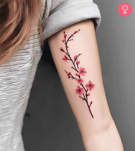 8 Cool Cherry Blossom Tattoo Design Ideas For A Stunning Look Blossom Tattoo Design, Cherry Blossom Tattoo Design, Kawaii Cherry Blossom, Cherry Tree Tattoos, Flower Tats, Cherry Blossom Tattoos, Kawaii Cherry, Cherry Blossom Tree Tattoo, Butterfly Tattoos Images